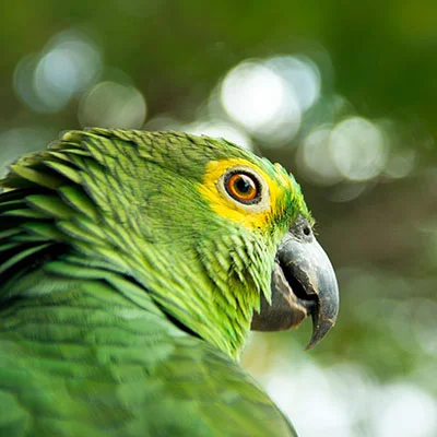 天津宠物领养中心地址在哪里呀（天津宠物领养救助中心救助免费么）