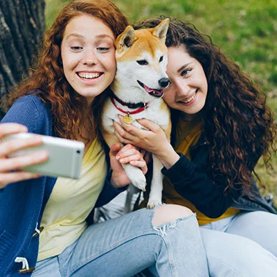 宠物领养市场数据图（宠物领养系统国内外现状）